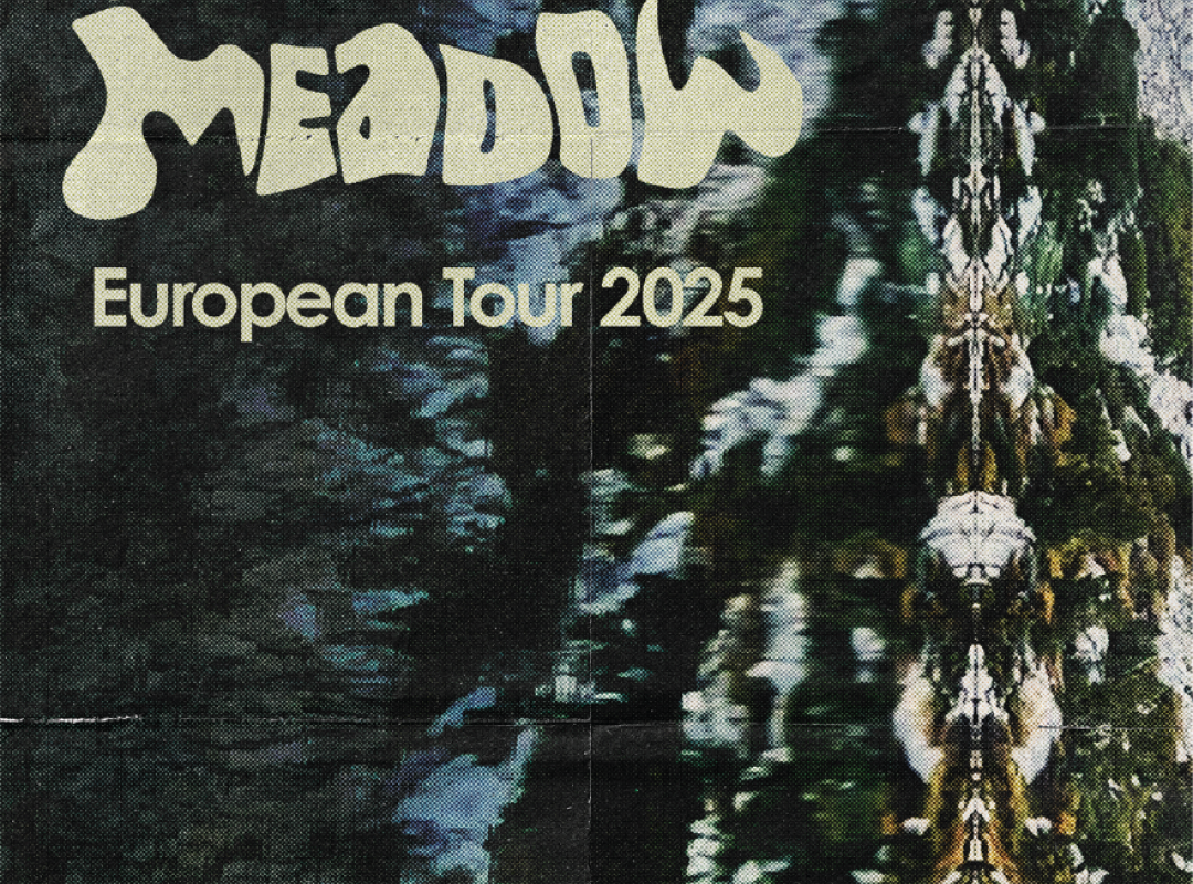 DEAD MEADOW